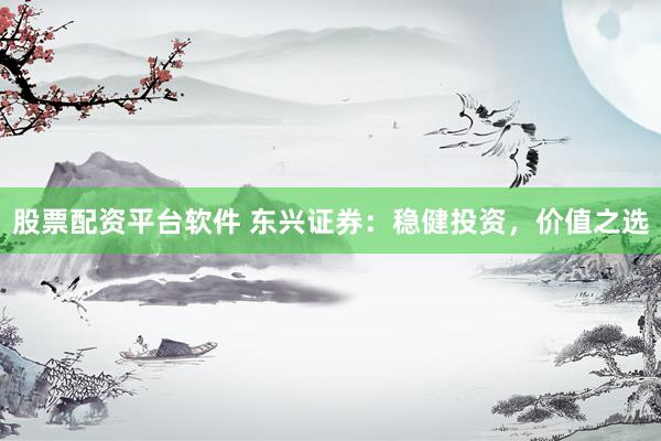 股票配资平台软件 东兴证券：稳健投资，价值之选