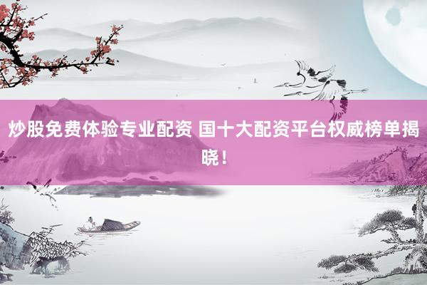 炒股免费体验专业配资 国十大配资平台权威榜单揭晓！
