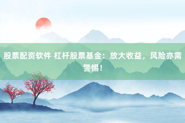 股票配资软件 杠杆股票基金：放大收益，风险亦需警惕！