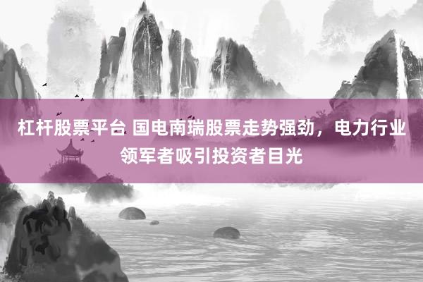 杠杆股票平台 国电南瑞股票走势强劲，电力行业领军者吸引投资者目光