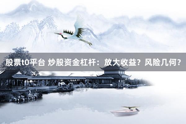 股票t0平台 炒股资金杠杆：放大收益？风险几何？
