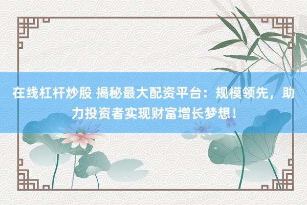 在线杠杆炒股 揭秘最大配资平台：规模领先，助力投资者实现财富增长梦想！