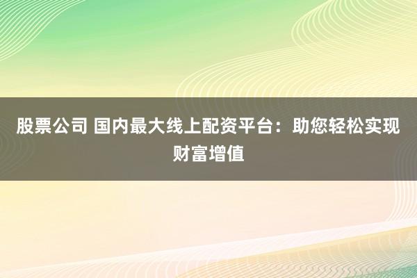 股票公司 国内最大线上配资平台：助您轻松实现财富增值