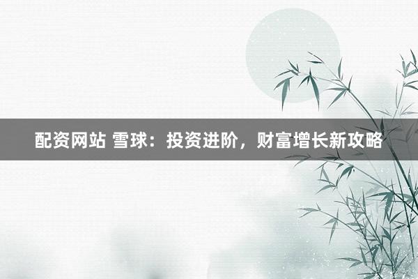 配资网站 雪球：投资进阶，财富增长新攻略