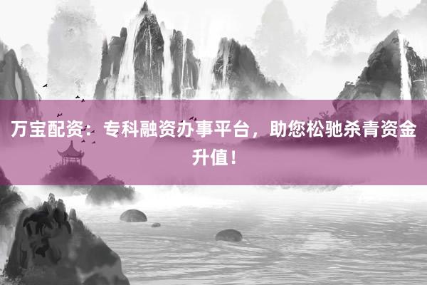 万宝配资：专科融资办事平台，助您松驰杀青资金升值！
